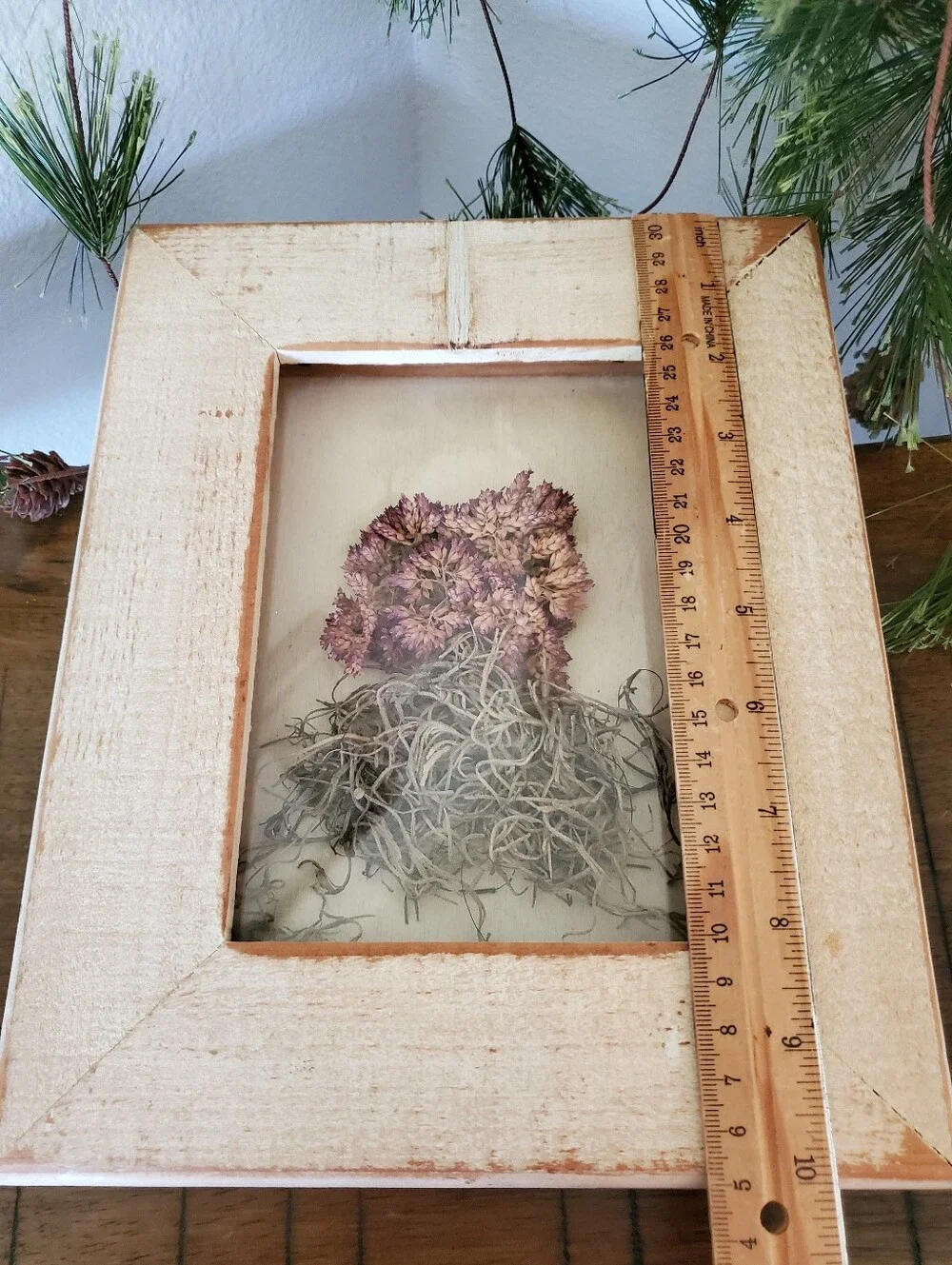 Rustic Framed Dried Pink Flower Shadow Box Botanical Wall Art 8x10